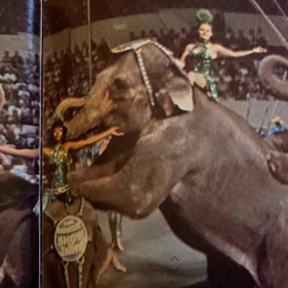 Vintage Ringling Brothers 1977 Circus Show Book - Picture 4 of 16